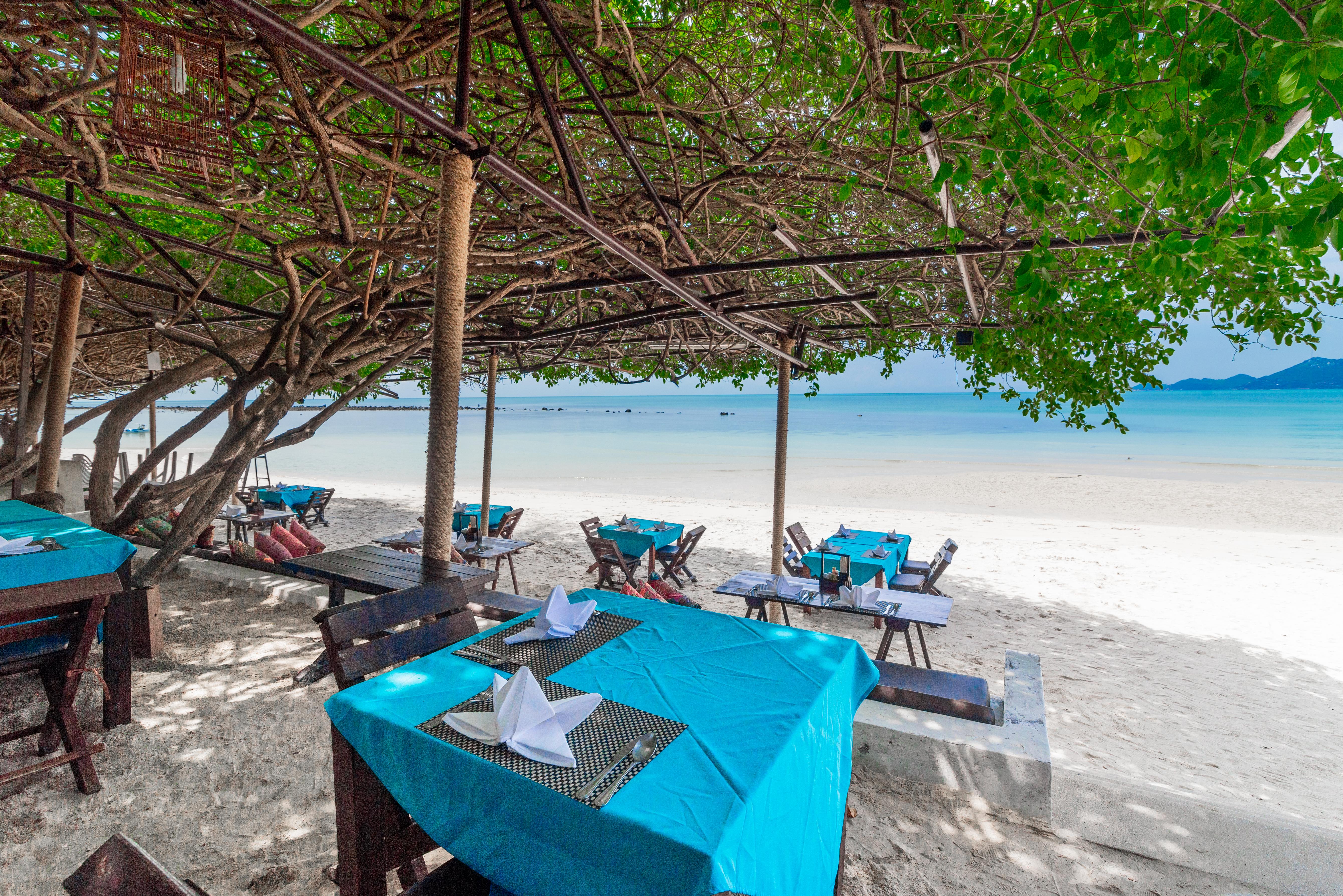 Garden - Sha Chaweng Beach