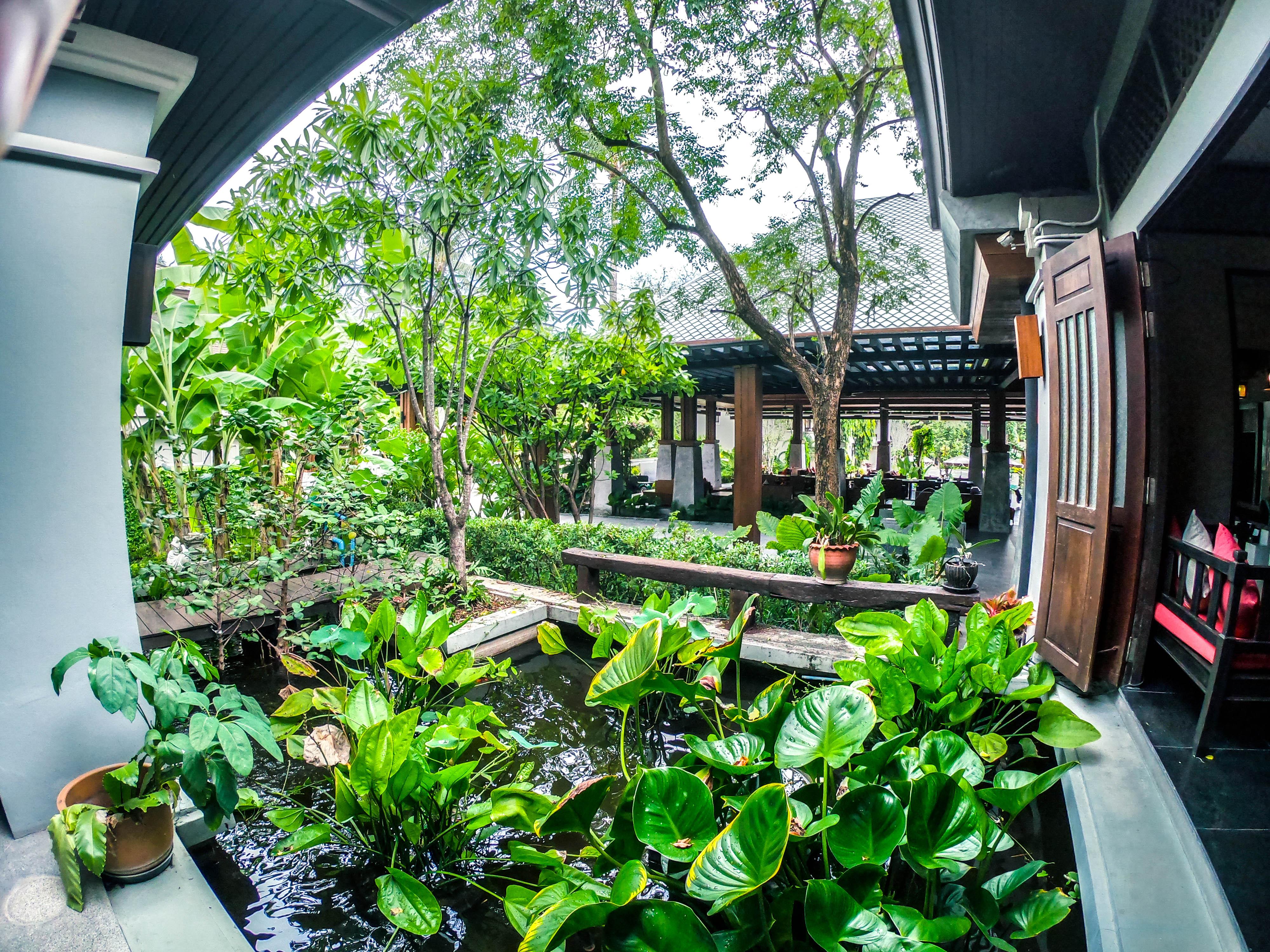 Resor Garden - Sha